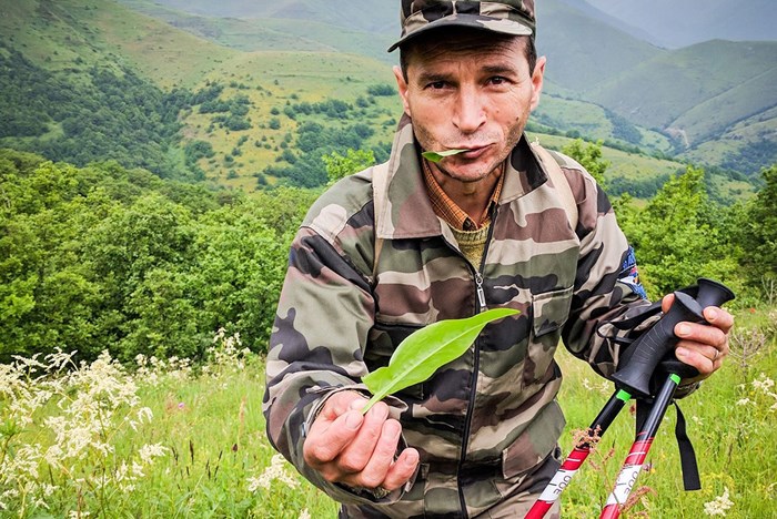 Healing Herbs: Folk Remedies in Armenia