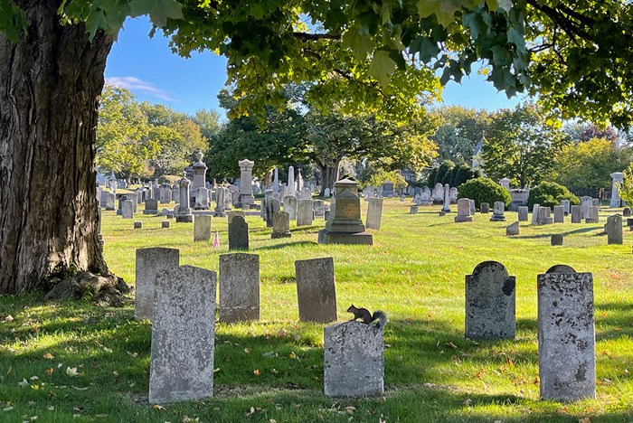 The Potential of Our Decay: Cemeteries That Save the American Landscape