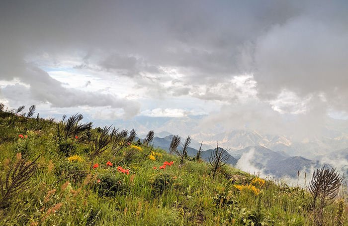 Armenian highlands. Photo by Tom Allen, Transcaucasian Trail