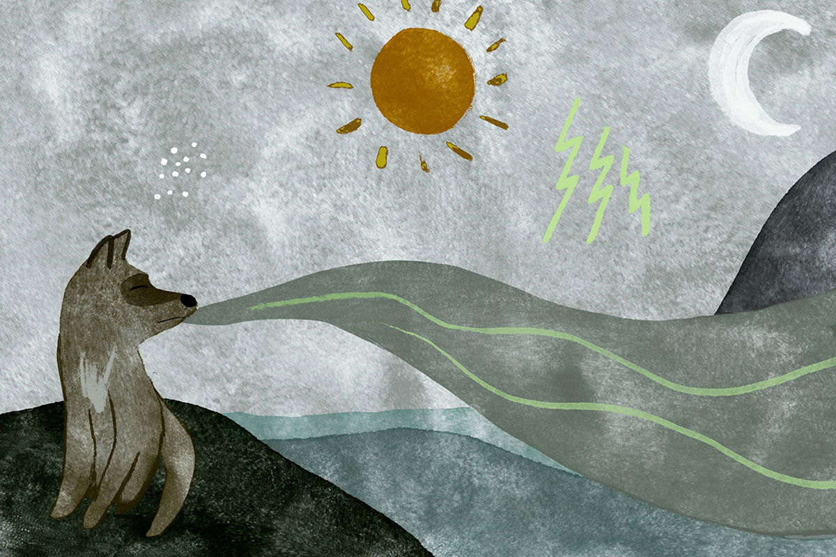 A watercolor illustration of a brown wolf looking over his shoulder with stars, sun, thunder, and moon in a natural backdrop.