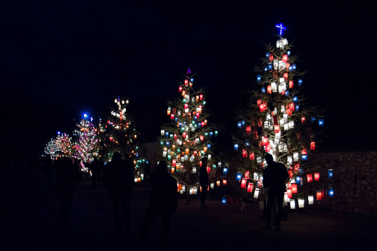 In the dark, several trees lined up are illuminated by colorful lanterns hanging on their branches, silhouetting some people in the foreground.