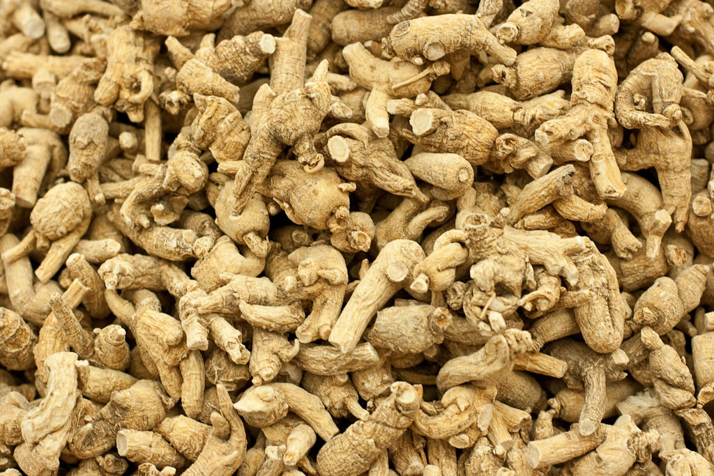 American ginseng. Photo by Hubert K, Flickr Creative Commons