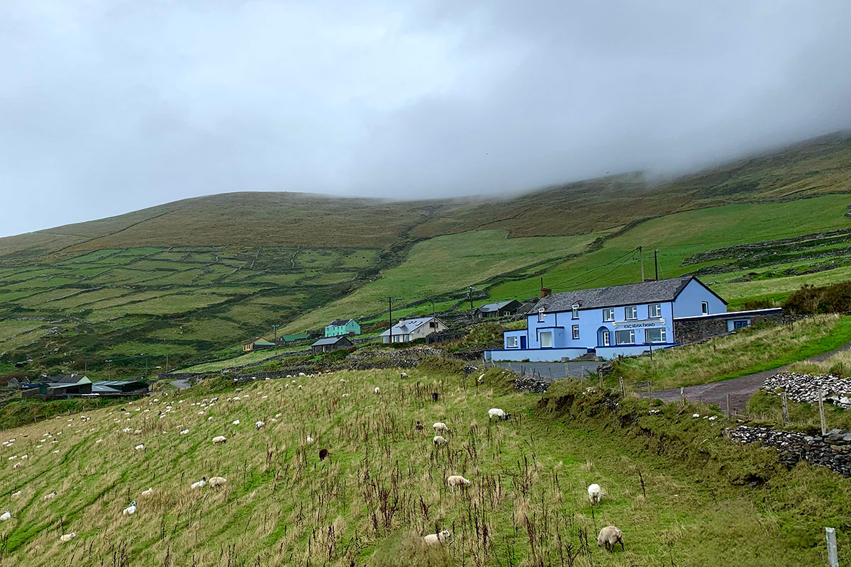 Hilly green farmland with sheep grazing in the foreground and a few farm houses in the distance. Low gray clouds descend on the hills.