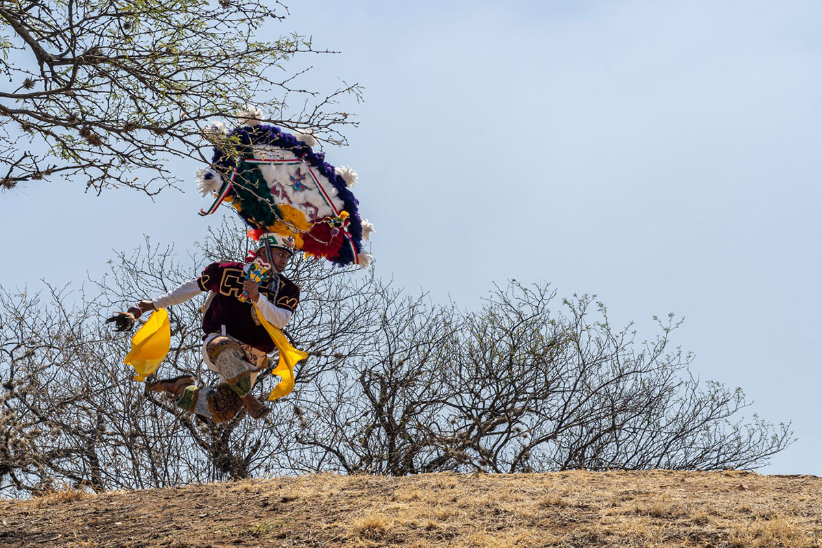 A man in feathered blue, white, and red headdress dances outdoors on a hill. Barren trees are in the background. 