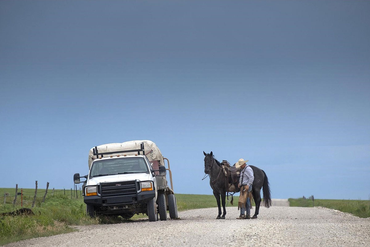 A man in cowboy hat stands in the middle of a rural road next to a black horse and white pickup truck.