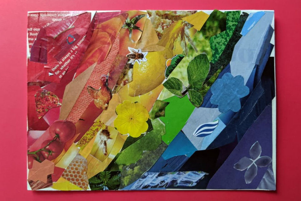 Collage of magazine clippings arranged into a rainbow.