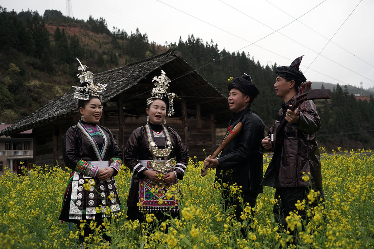 Two women singers and two male instrumentalists perform in ornate dress, outdoors in a field of tall yellow flowers.
