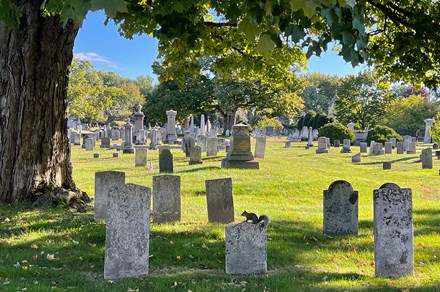 Gray headstones and green grass and trees in a cemetery.