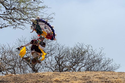Dance of the Feather: A Oaxacan Flight between Tradition and Modernity