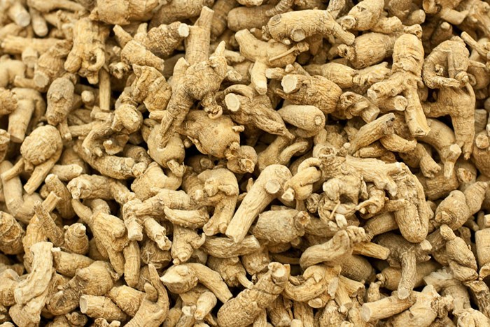10 Surprising Things about American Ginseng