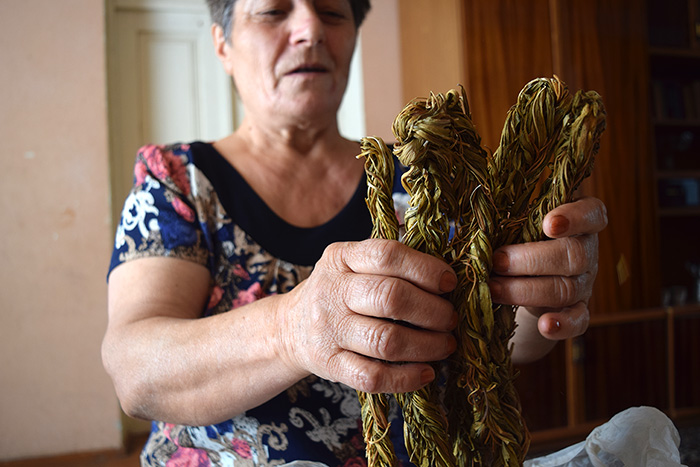 Greta Grigoryan reveals the aveluk she collected from fields nearby and braided in the spring. Photo by Karine Vann, Smithsonian